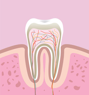 Tooth Saver: What's an Endodontist?